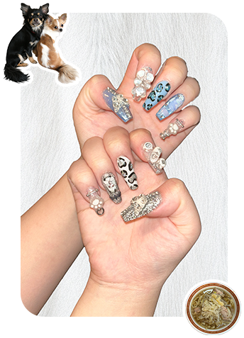 メインヴィジュアル