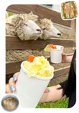 メインヴィジュアル