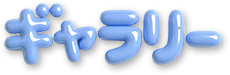 ギャラリー